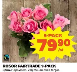 Coop Rosor Fairtrade 9-pack erbjuda