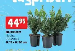 Jem&Fix BUXBOM erbjuda