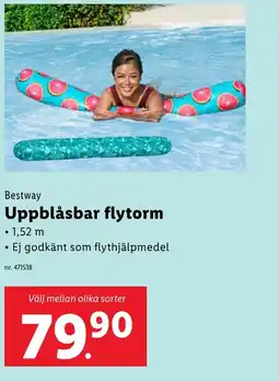 Lidl Bestway Uppblåsbar flytorm erbjuda
