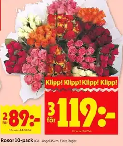 ICA Kvantum Rosor 10-pack erbjuda