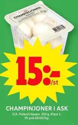 ICA Maxi ICA Champinjoner i ask erbjuda