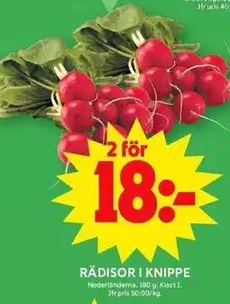 ICA Maxi Rädisor i knippe erbjuda