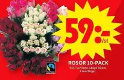 ICA Maxi Rosor 10-pack erbjuda