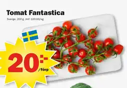 Pekås Tomat fantastica erbjuda