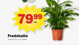 Pekås Fredskalla erbjuda