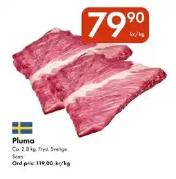 Snabbgross Pluma erbjuda