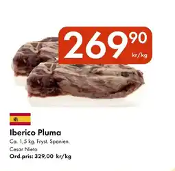 Snabbgross Iberico pluma erbjuda