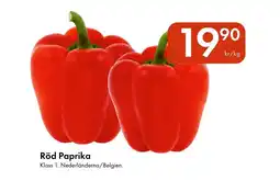 Snabbgross Röd paprika erbjuda