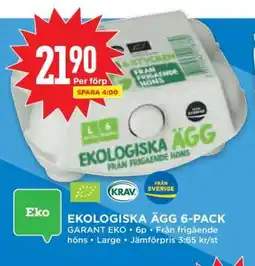 Willys EKOLÓGICKA ÄGG 6-PACK erbjuda