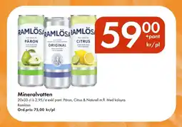 Snabbgross RAMLÖSA Mineralvatten erbjuda