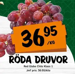 Röda druvor