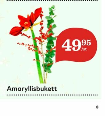 Hemköp Blommor erbjuda