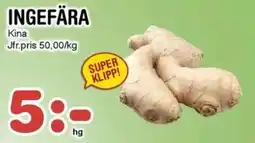 Nya Pulsen Ingefära erbjuda