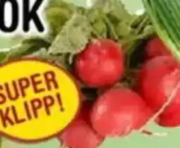 Nya Pulsen Rädisor erbjuda