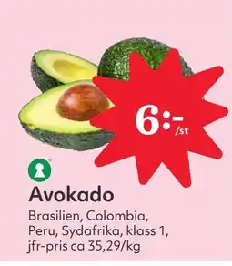 Avokado