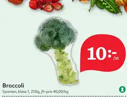 Broccoli