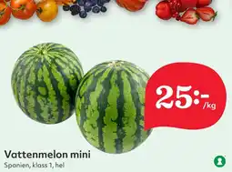 Östenssons Vattenmelon mini erbjuda