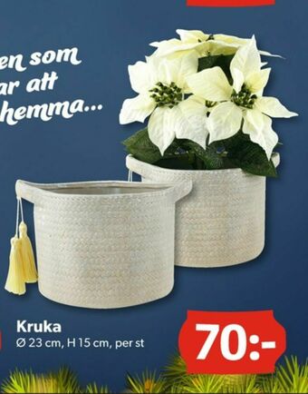 DollarStore Krukor erbjuda