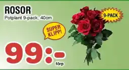 Nya Pulsen ROSOR erbjuda