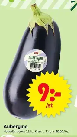 Aubergine