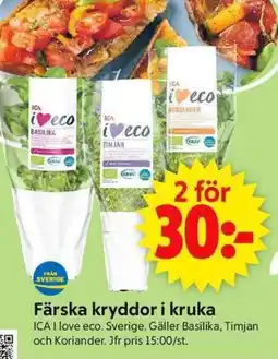 ICA Supermarket Färska kryddor i kruka erbjuda