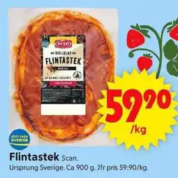 Flintastek Scan.