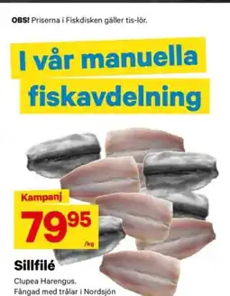 City Gross Sillfilé erbjuda