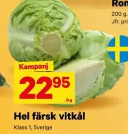 Hel färsk vitkål