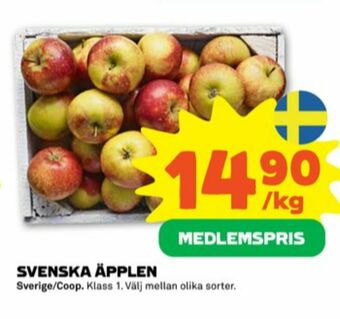 Stora Coop Äpplen erbjuda