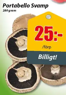 Portabello svamp