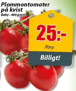 Plommontomater på kvist