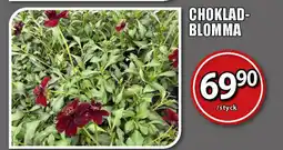 Extra Mjällby Stormarknad Choklad- blomma erbjuda