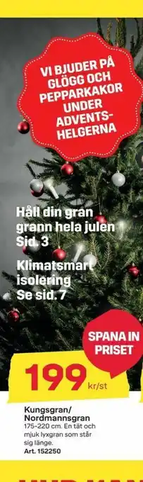 Julgran