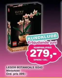 Lekextra LEGO Botanicals 10343 erbjuda