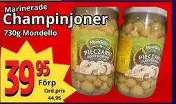 MONDELLO Champinjoner