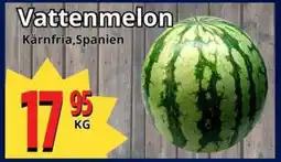 Supergrossen Vattenmelon erbjuda