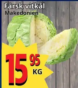 Färsk vitkål