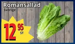 Romansallad