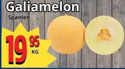 Supergrossen Galiamelon erbjuda