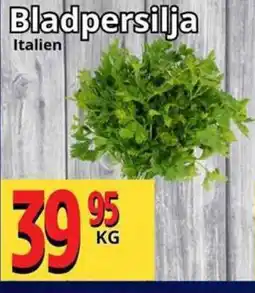 Supergrossen Bladpersilja erbjuda