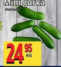 Supergrossen Mini gurka erbjuda