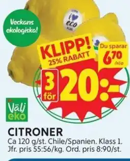 Citroner