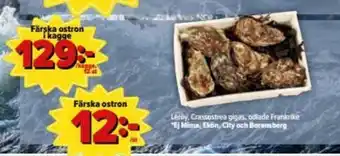 Östenssons Färska ostron i kagge erbjuda