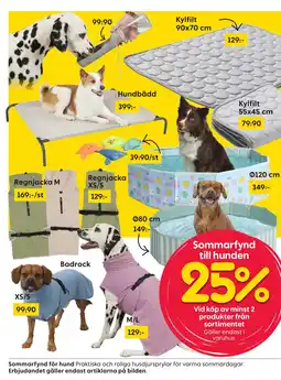 Rusta Sommarfynd för hund erbjuda