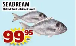 Matvärlden Tensta Seabream erbjuda