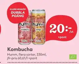 Hemköp HUMM Kombucha erbjuda
