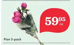 Hemköp Pion 3-pack erbjuda