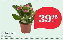Hemköp Calandiva erbjuda