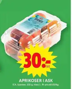 ICA Maxi APRIKOSER I ASK erbjuda