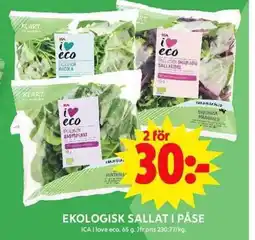 ICA Maxi EKOLOGISK SALLAT I PÅSE erbjuda